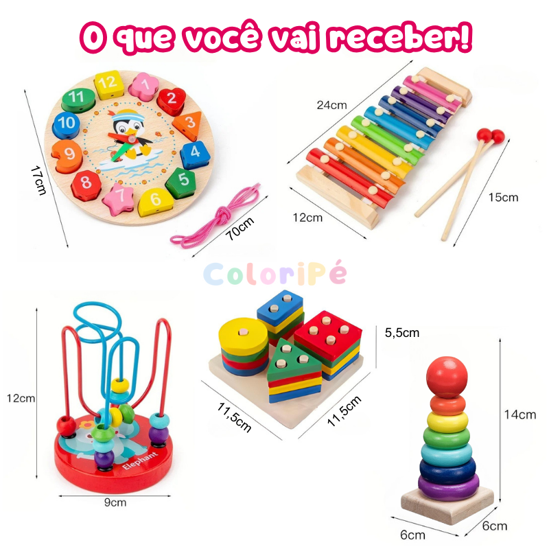 Kit Montessori Ludii | Descobertas 5 em 1